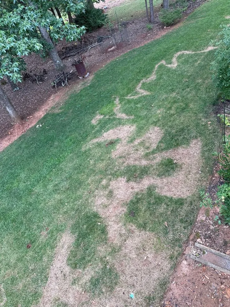Reliable yard maintenance in Loganville, GA - TruGreen Lawn Care