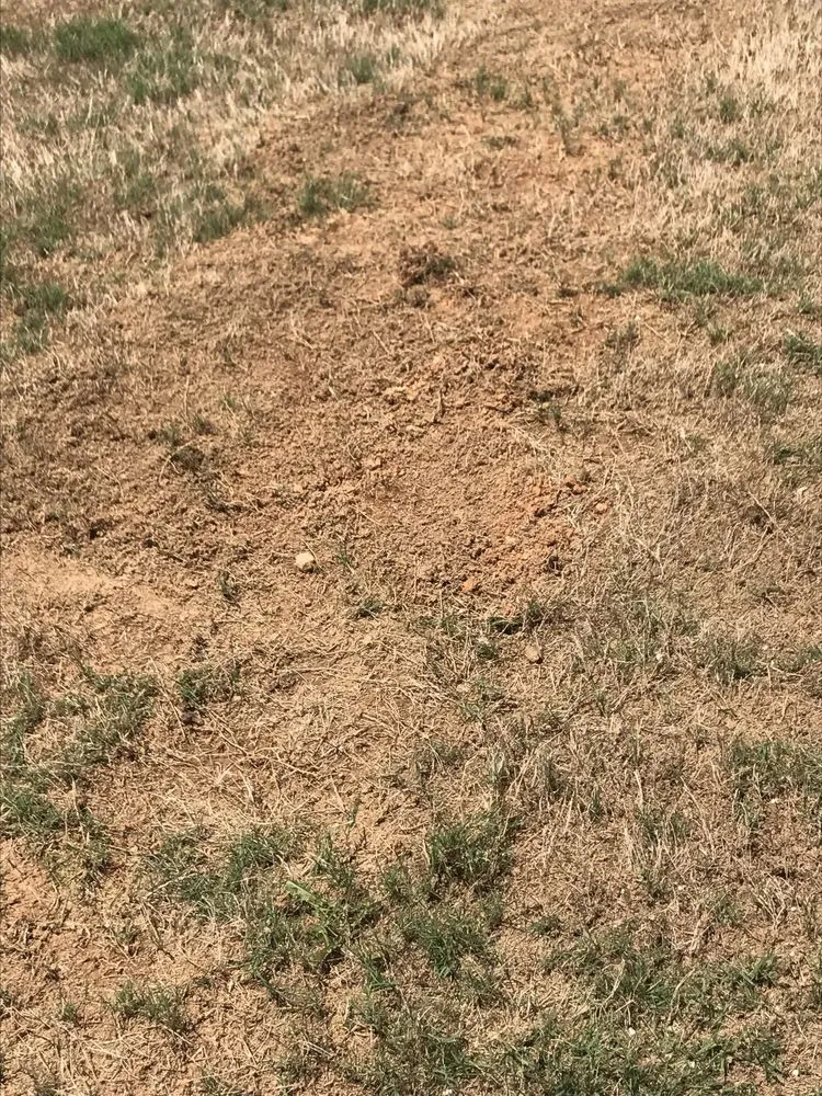 Trusted lawn mowing service in Loganville, GA by TruGreen Lawn Care