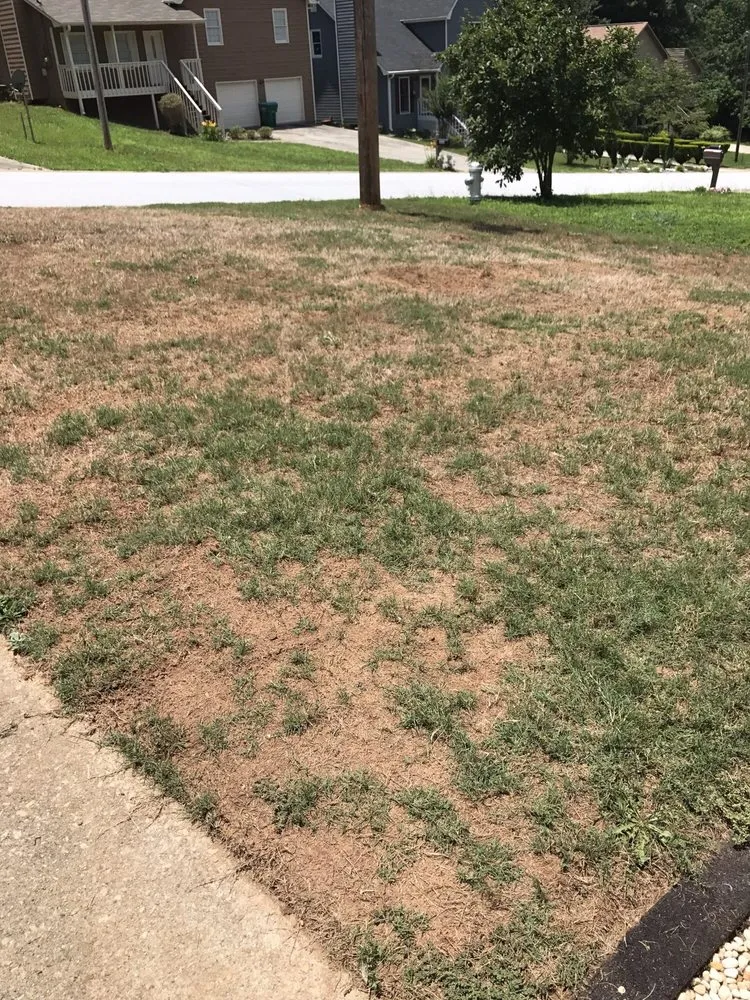 Trusted residential landscaping for beautiful yards across Loganville, GA - TruGreen Lawn Care