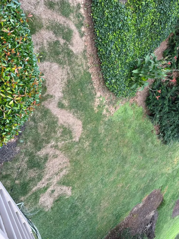 Trusted yard maintenance for outdoor upgrades in Loganville, GA by TruGreen Lawn Care