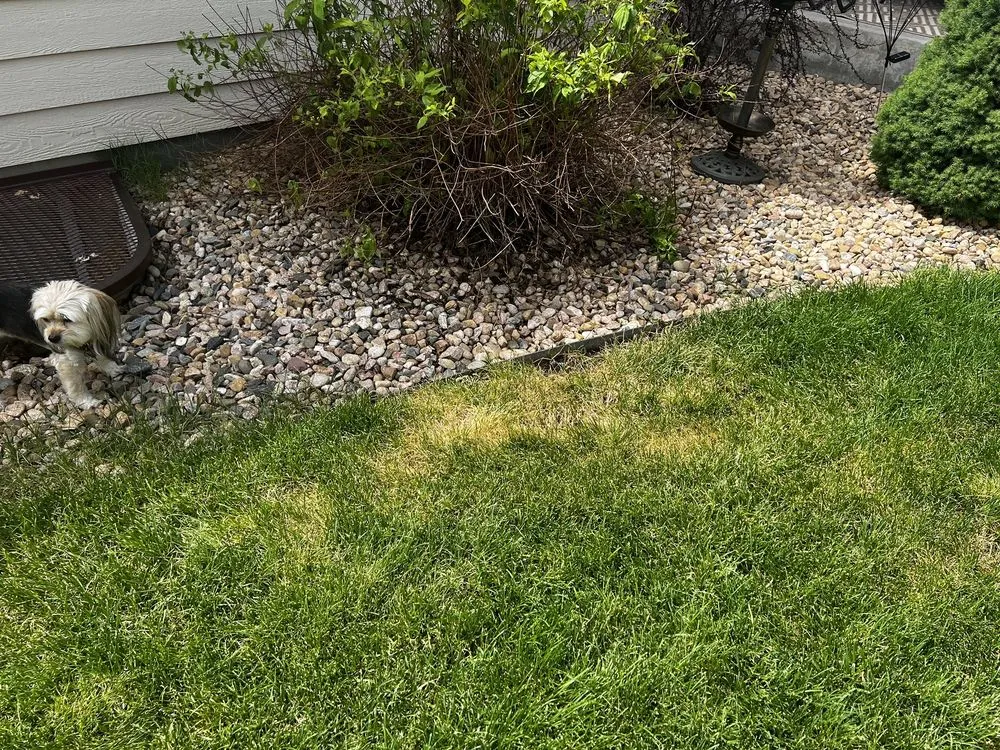 Top-rated lawn care service for outdoor upgrades across Loveland, CO - TruGreen Lawn Care