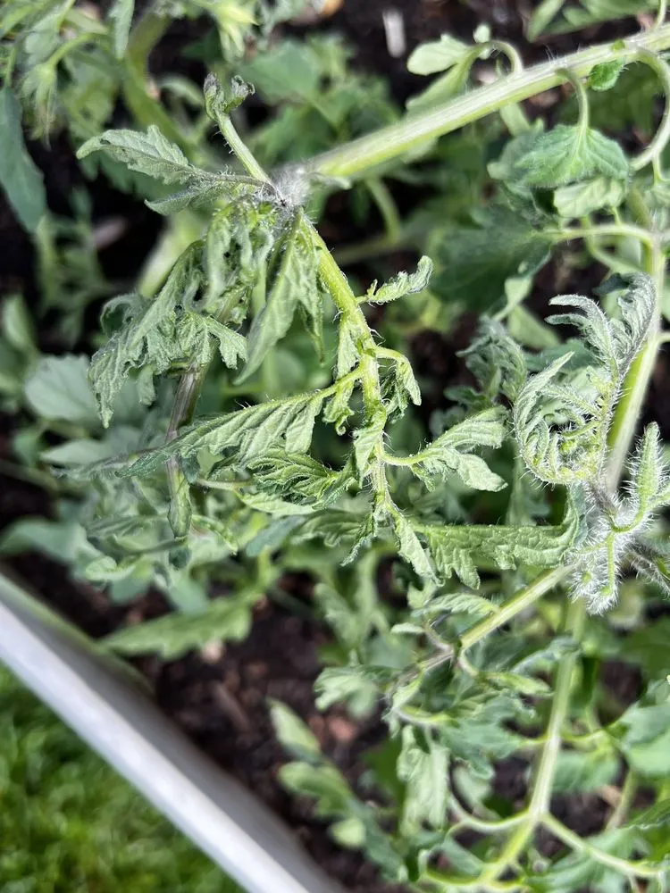 Top-rated landscape installation in Loveland, CO by TruGreen Lawn Care