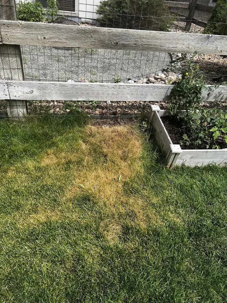 Local landscape installation experts serving Loveland, CO - TruGreen Lawn Care