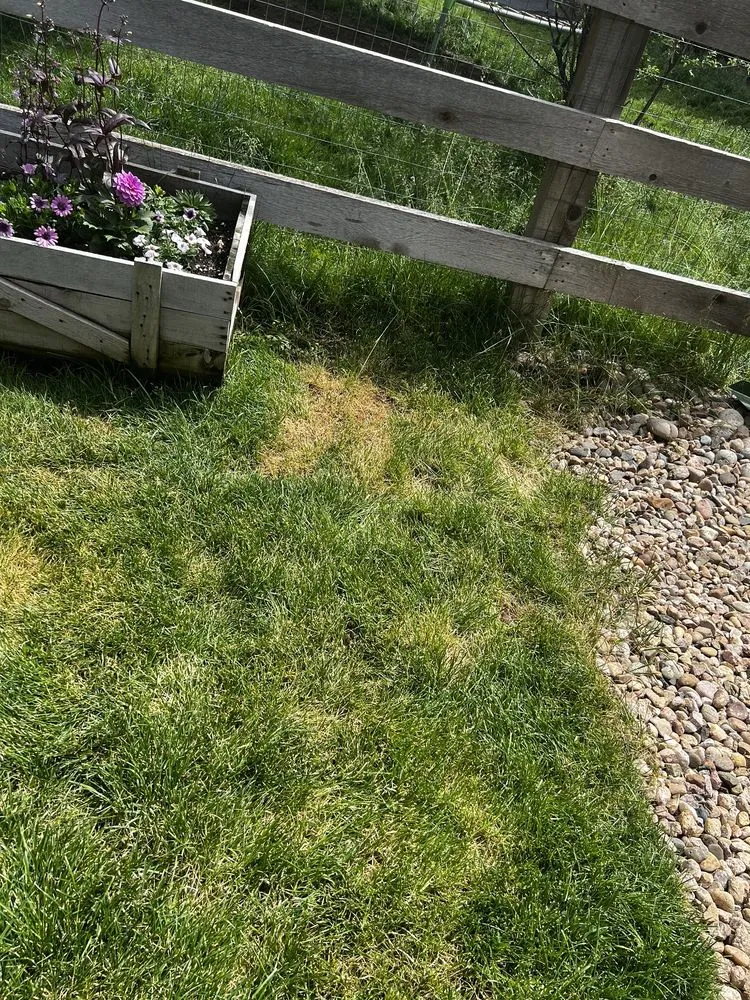 Trusted outdoor landscaping in Loveland, CO - TruGreen Lawn Care