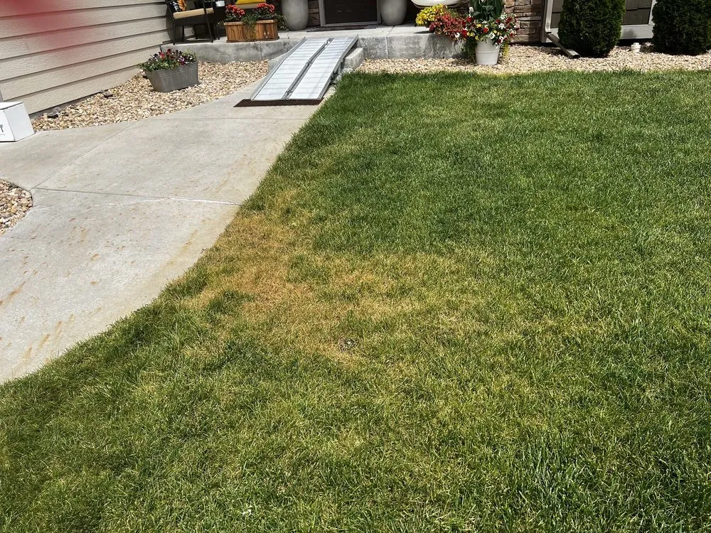 Local residential landscaping for residential properties across Loveland, CO - TruGreen Lawn Care