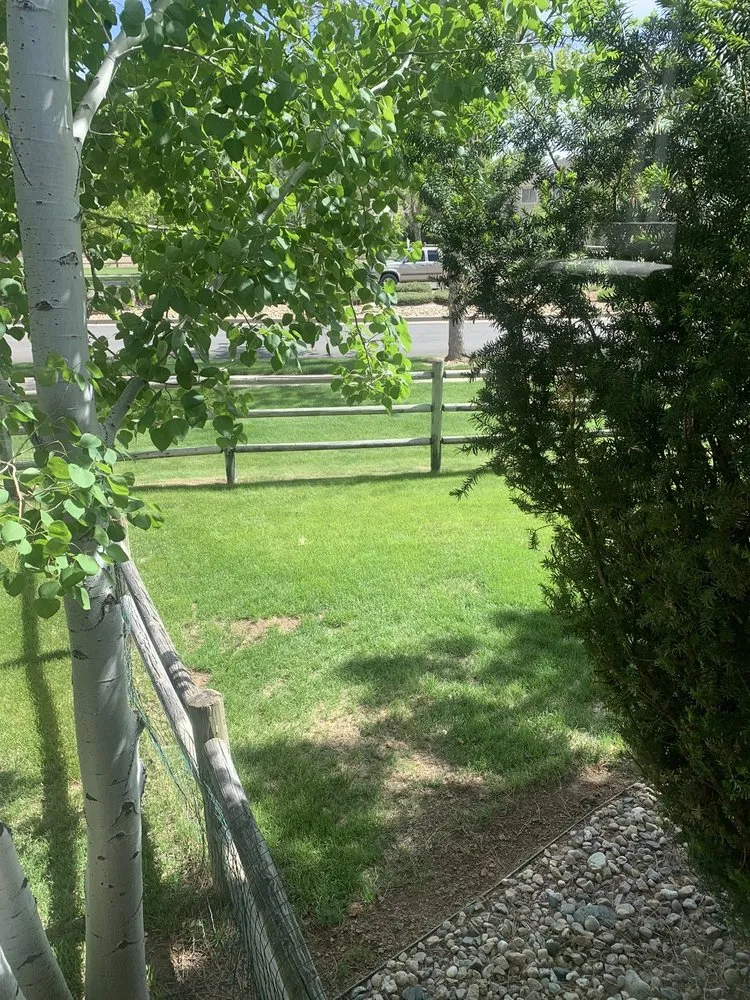 Trusted outdoor landscaping experts serving Loveland, CO - TruGreen Lawn Care