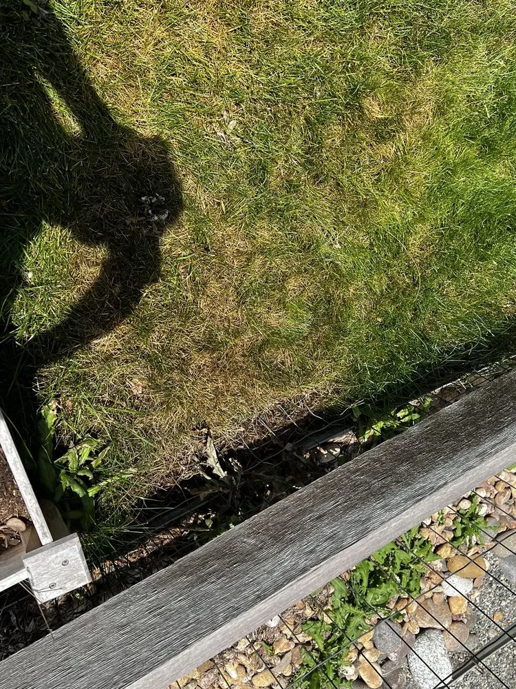 Affordable residential landscaping in Loveland, CO - TruGreen Lawn Care