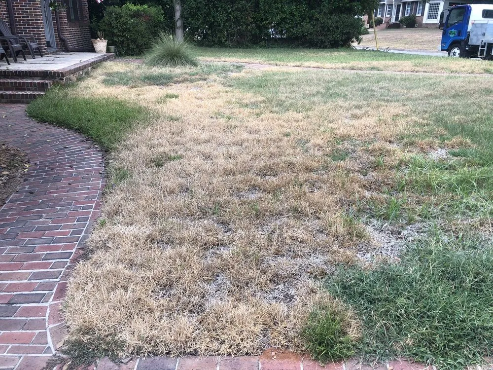 Reliable outdoor landscaping for outdoor upgrades in Macon, GA by TruGreen Lawn Care