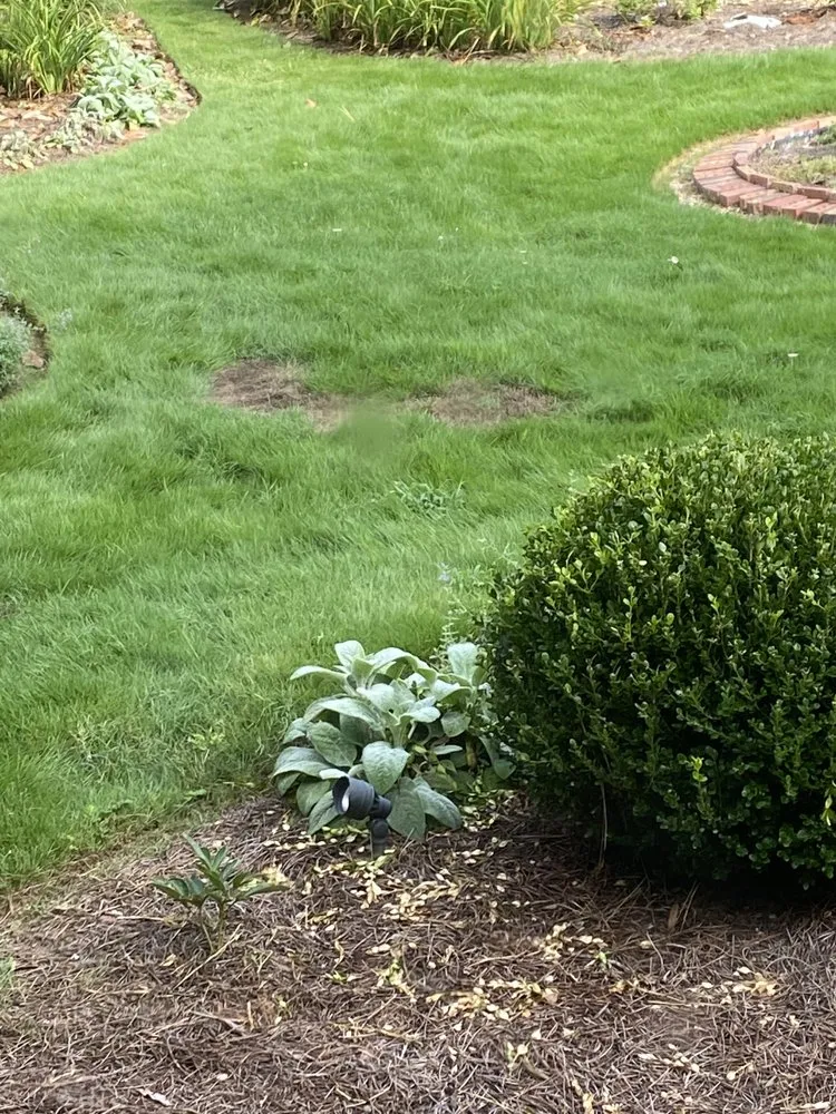 Custom lawn mowing service experts serving Marietta, GA - TruGreen Lawn Care