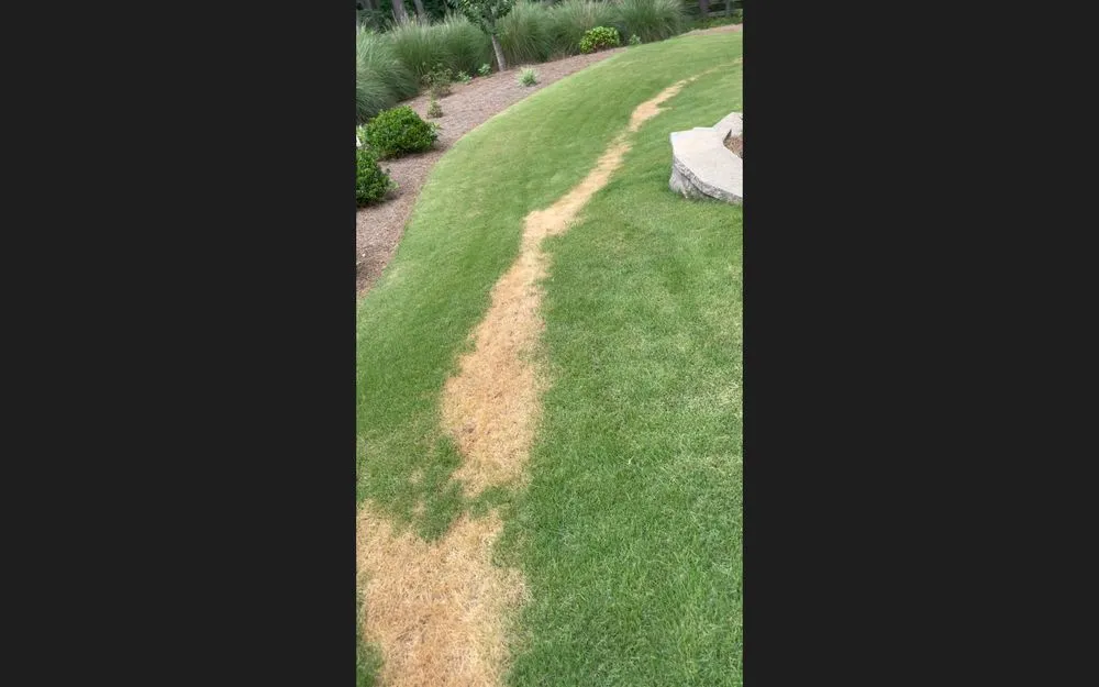 Local lawn mowing service in Marietta, GA - TruGreen Lawn Care