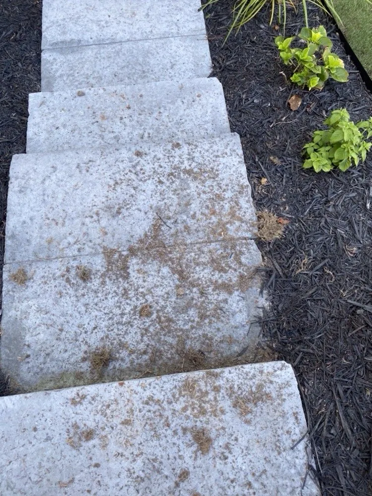 Professional yard maintenance near you across Marietta, GA - TruGreen Lawn Care