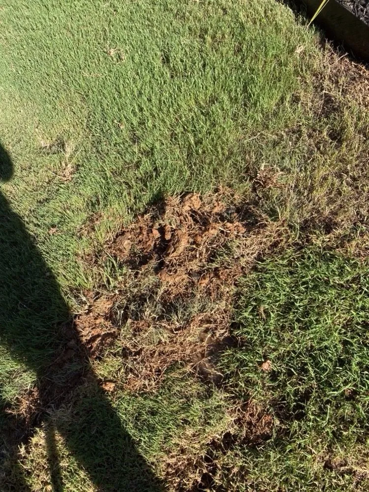 Expert residential landscaping in Marietta, GA - TruGreen Lawn Care