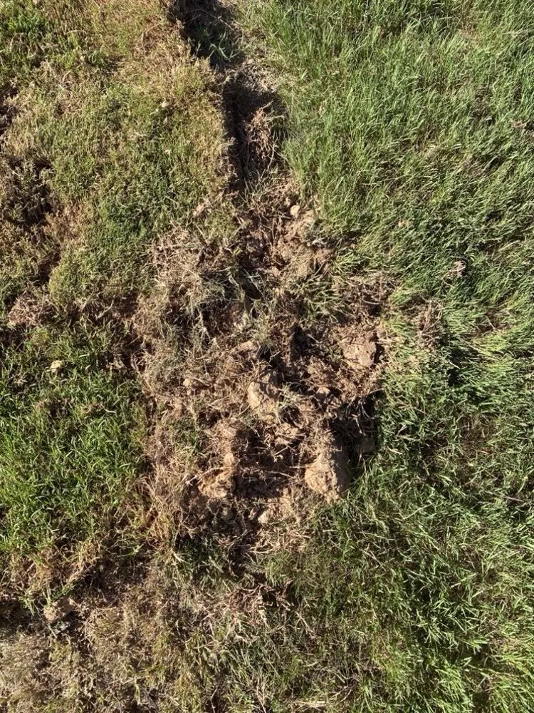 Top-rated residential landscaping in Marietta, GA - TruGreen Lawn Care