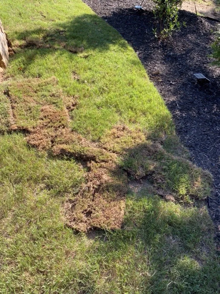 Top-rated landscape design experts serving Marietta, GA - TruGreen Lawn Care