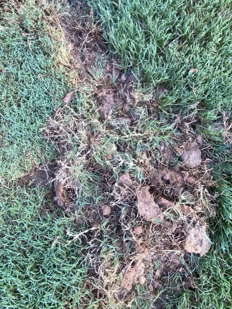 Professional garden landscaping in Marietta, GA - TruGreen Lawn Care