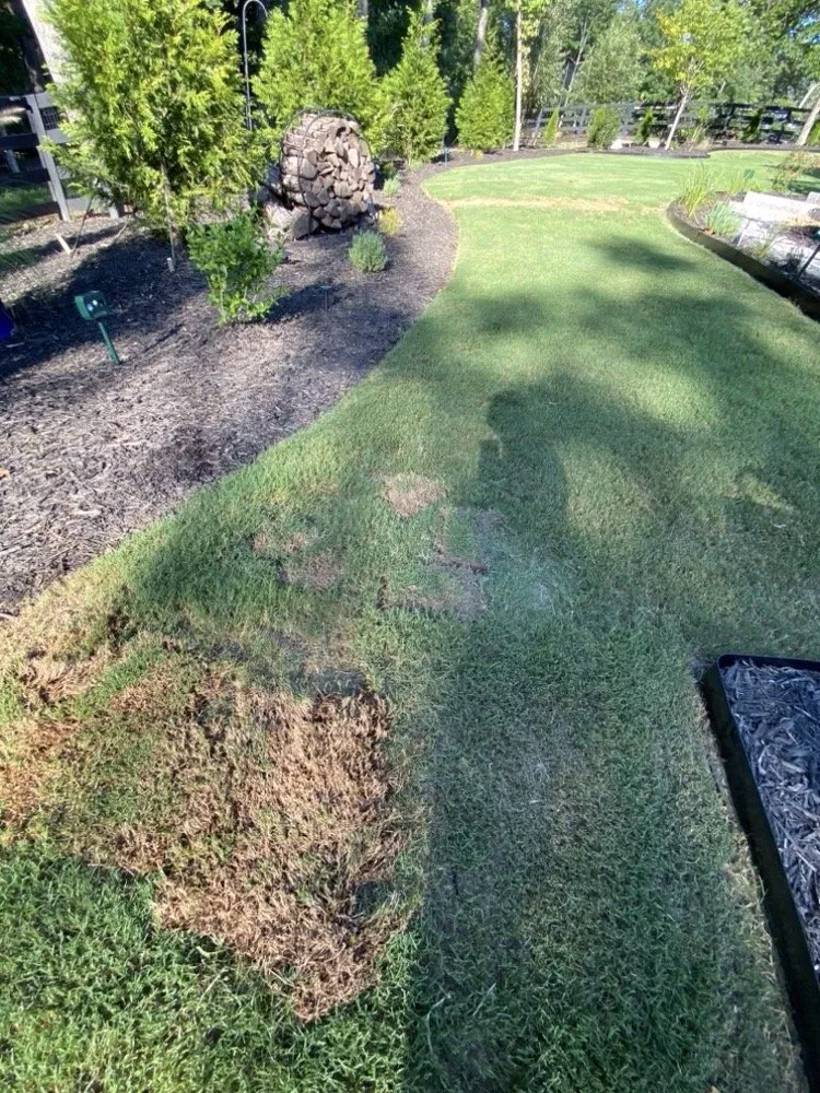 Custom garden landscaping experts serving Marietta, GA - TruGreen Lawn Care