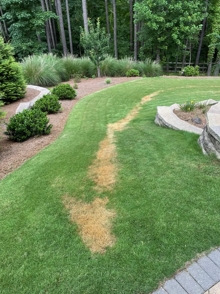 Top-rated landscaping services experts serving Marietta, GA - TruGreen Lawn Care