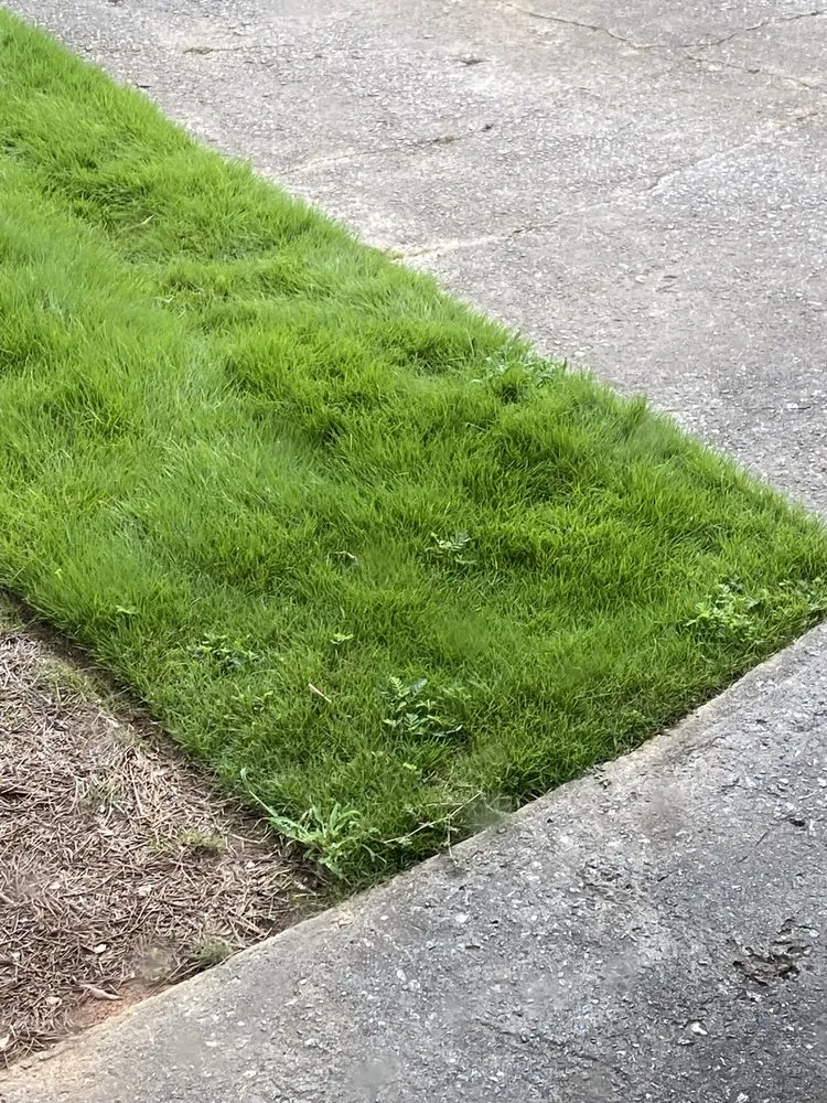 Expert yard maintenance experts serving Marietta, GA - TruGreen Lawn Care