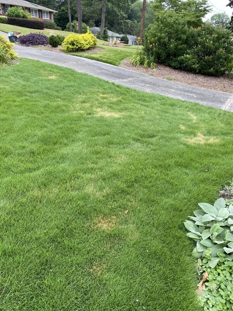Affordable residential landscaping in Marietta, GA - TruGreen Lawn Care