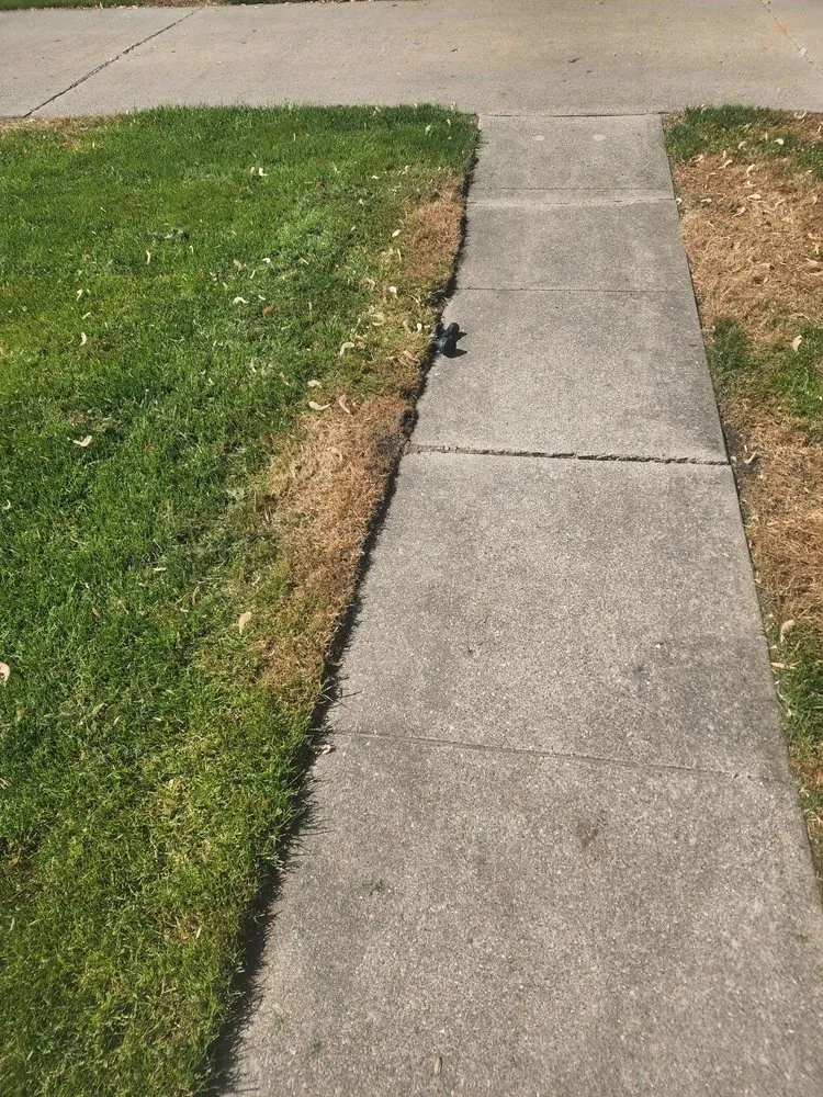 Trusted lawn mowing service in Marysville, MI by TruGreen Lawn Care