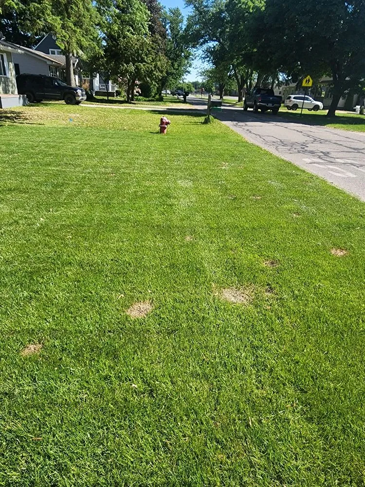 Expert garden landscaping with custom design across Marysville, MI - TruGreen Lawn Care