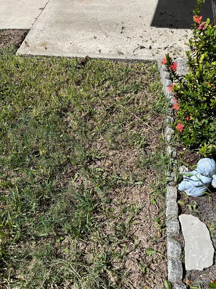 Reliable yard cleanup service for beautiful yards across Melbourne, FL - TruGreen Lawn Care