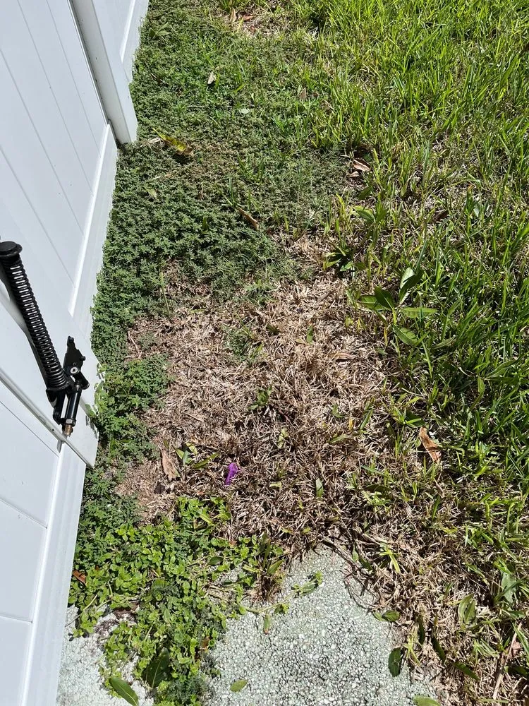 Top-rated lawn care service experts serving Melbourne, FL - TruGreen Lawn Care