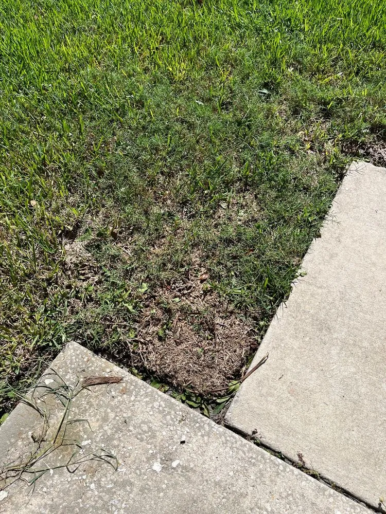 Reliable lawn mowing service experts serving Melbourne, FL - TruGreen Lawn Care