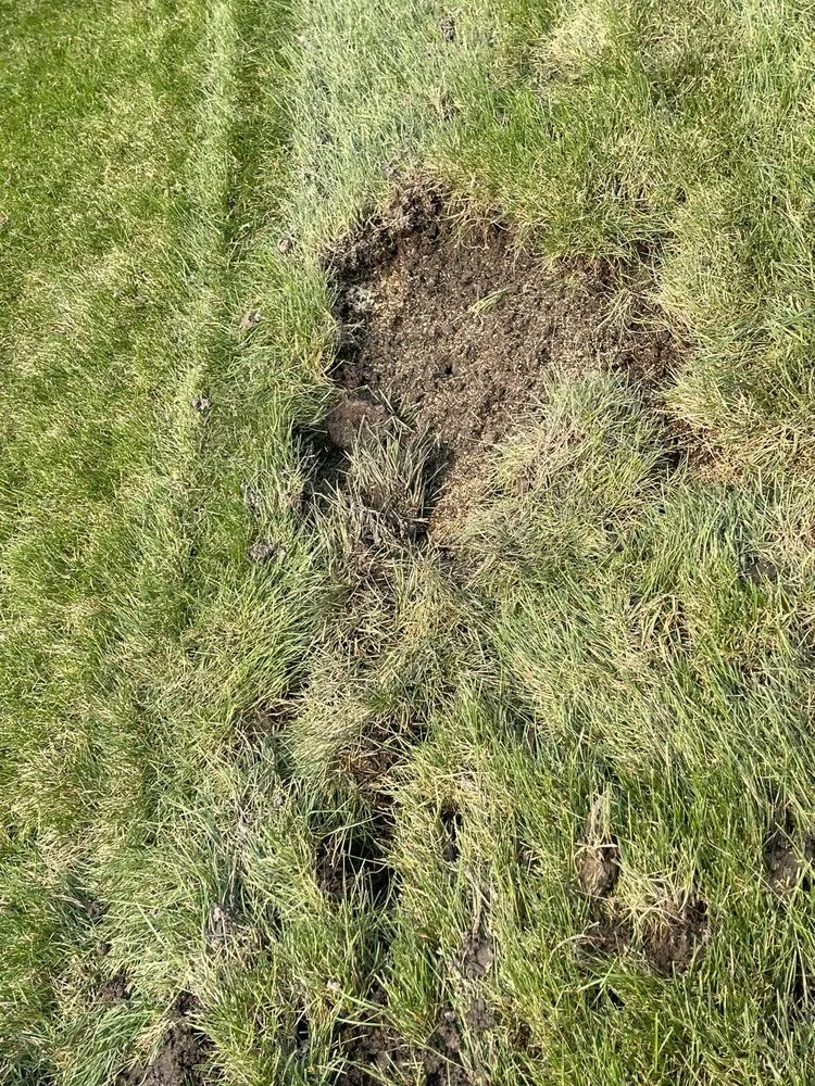 Affordable residential landscaping in Meridian, ID by TruGreen Lawn Care