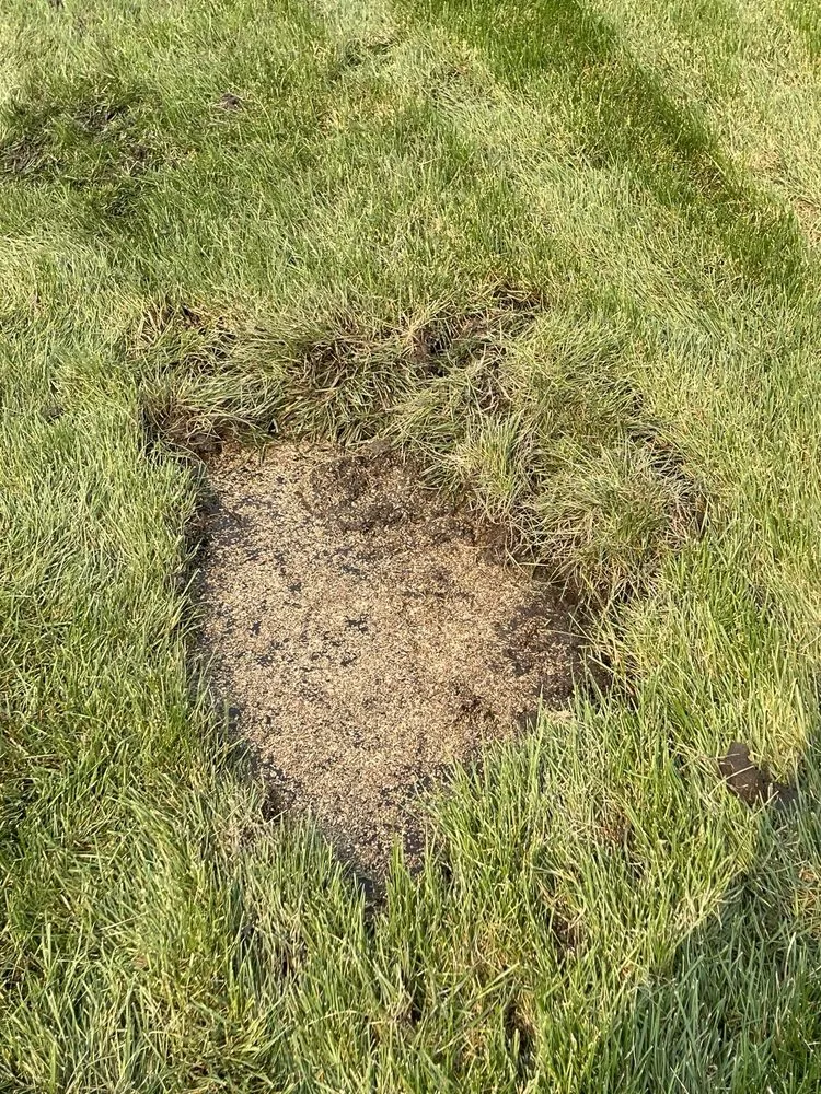 Reliable landscape design for residential properties across Meridian, ID - TruGreen Lawn Care