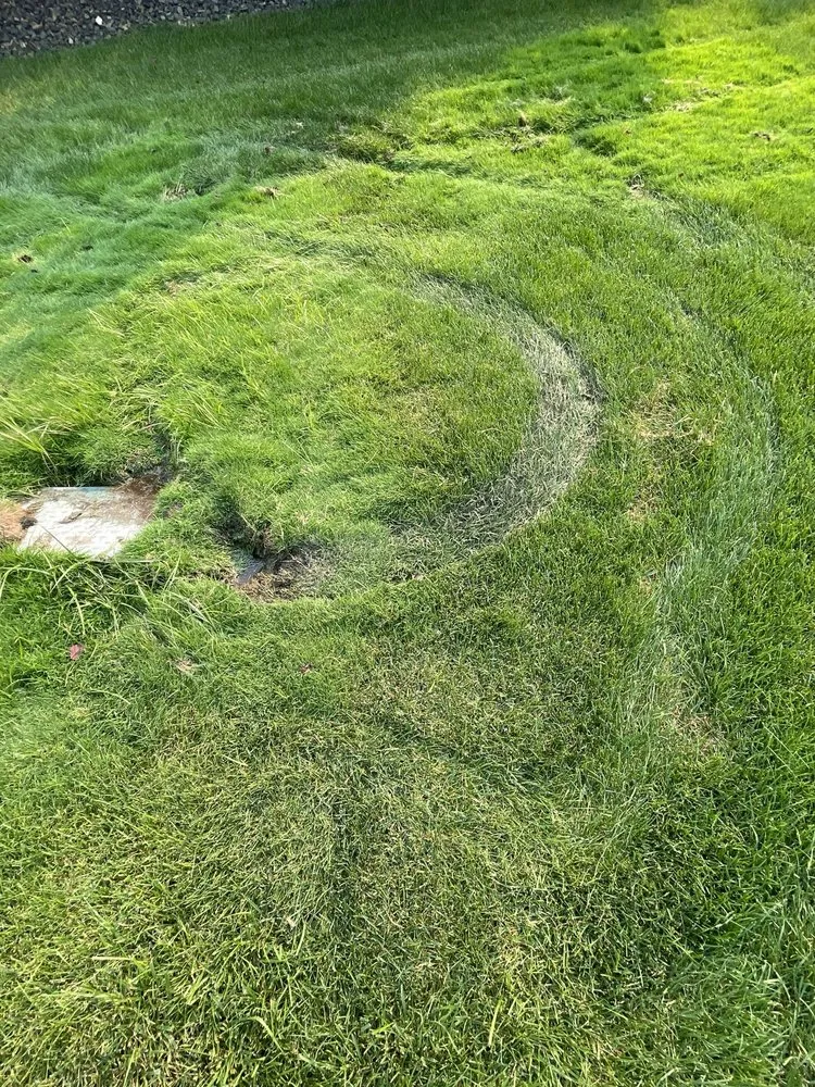 Professional landscaping services experts serving Meridian, ID - TruGreen Lawn Care