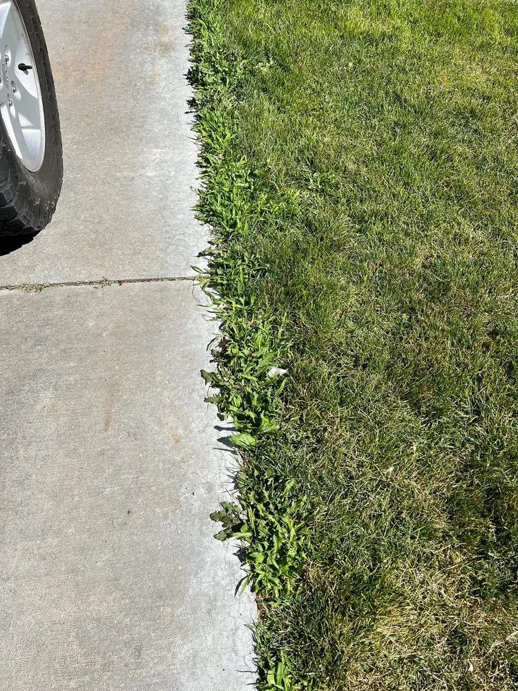 Expert landscape installation for residential properties in Meridian, ID by TruGreen Lawn Care