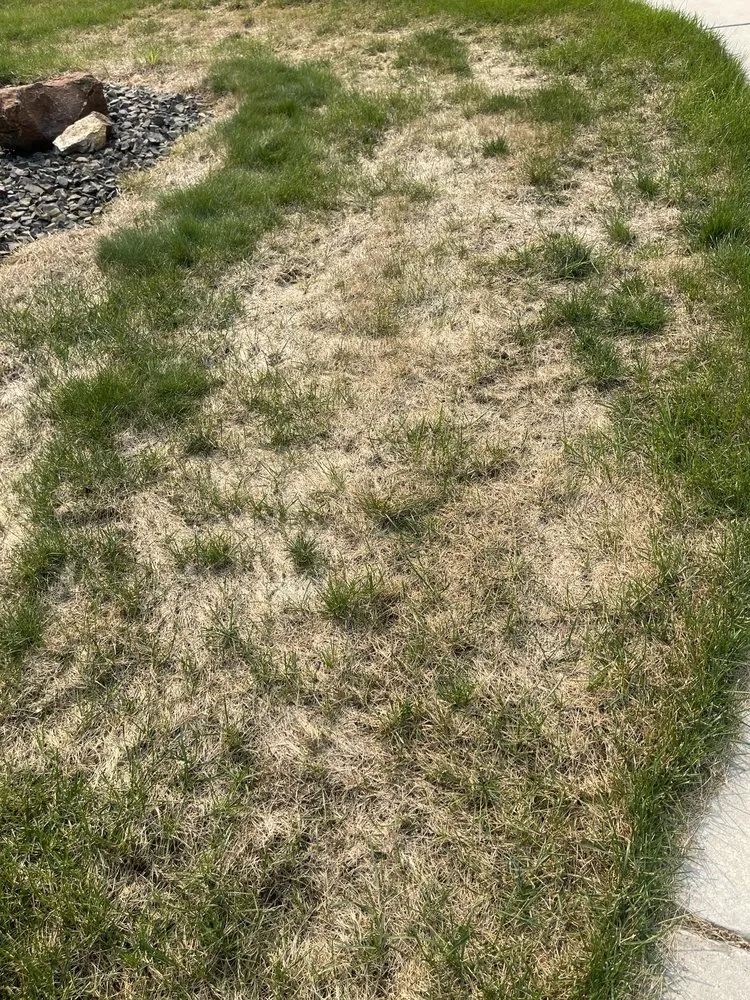 Professional landscaping services in Meridian, ID by TruGreen Lawn Care