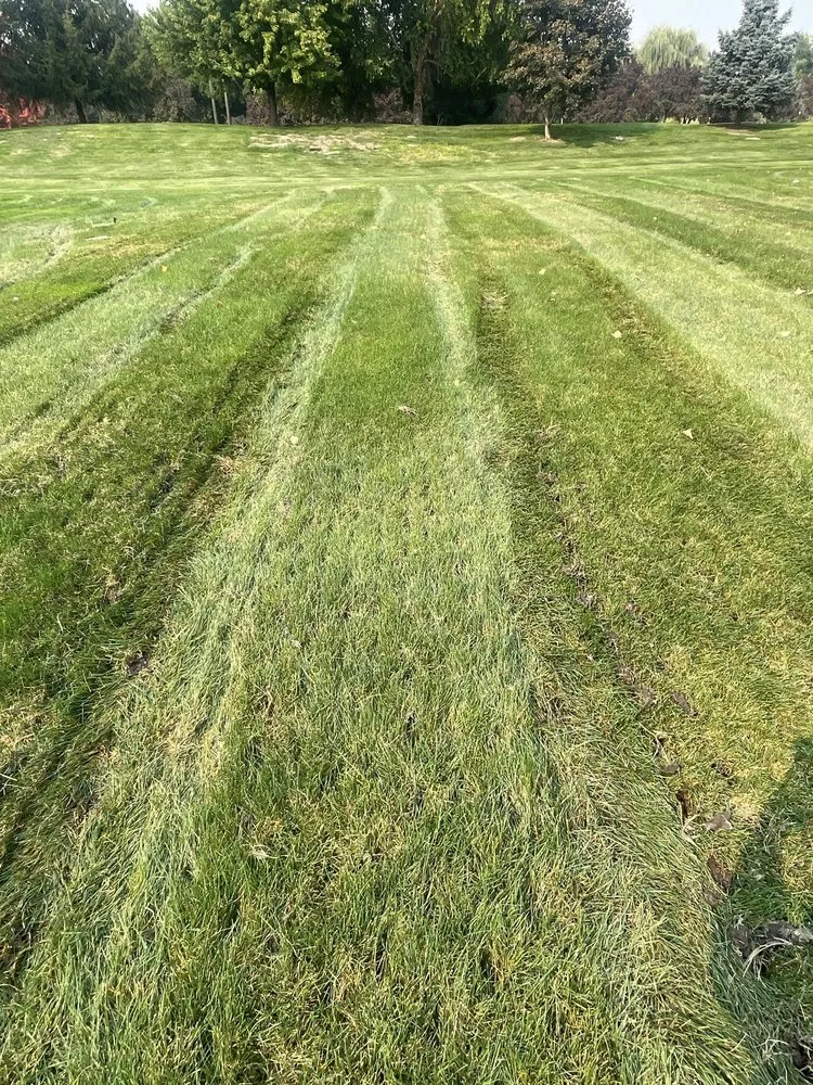 Reliable outdoor landscaping for year-round maintenance in Meridian, ID by TruGreen Lawn Care