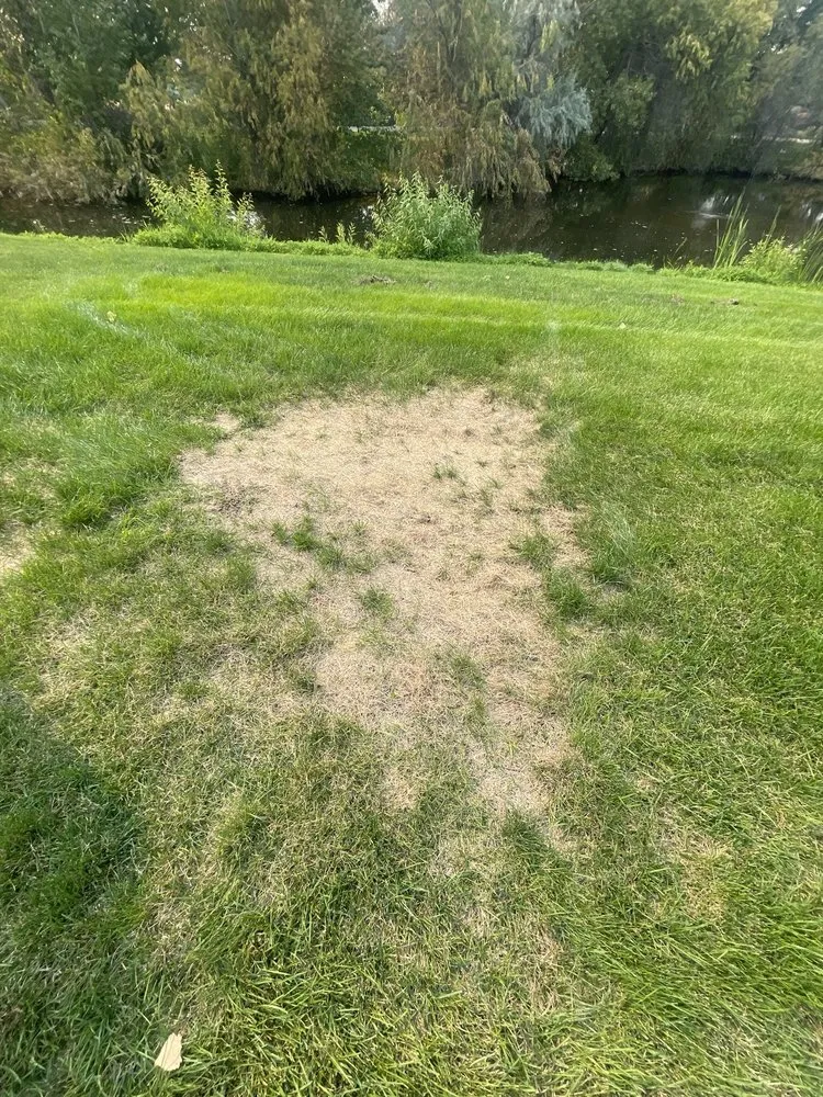 Reliable landscape installation in Meridian, ID by TruGreen Lawn Care