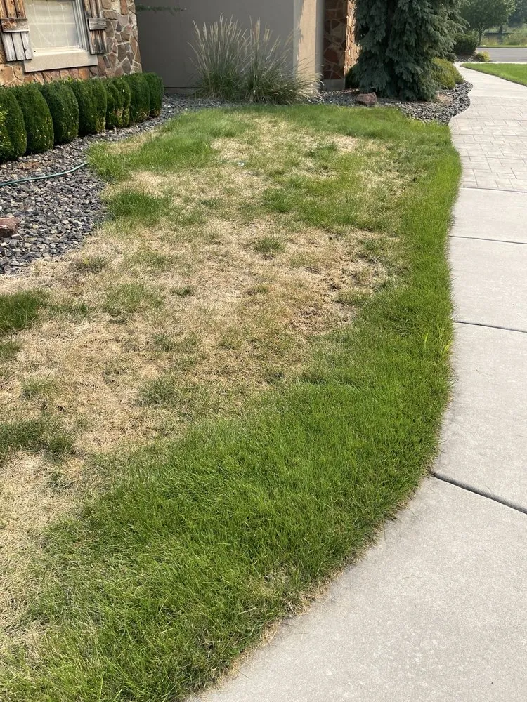 Custom outdoor landscaping experts serving Meridian, ID - TruGreen Lawn Care