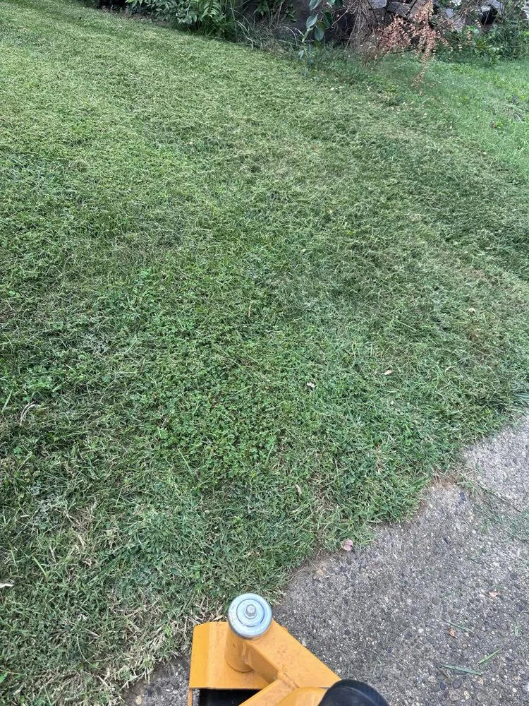 Reliable yard cleanup service for year-round maintenance in Newport, DE by TruGreen Lawn Care