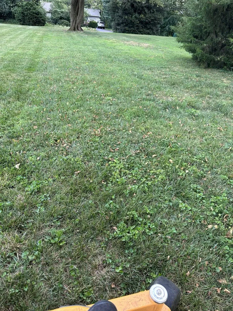Custom landscape installation for year-round maintenance across Newport, DE - TruGreen Lawn Care