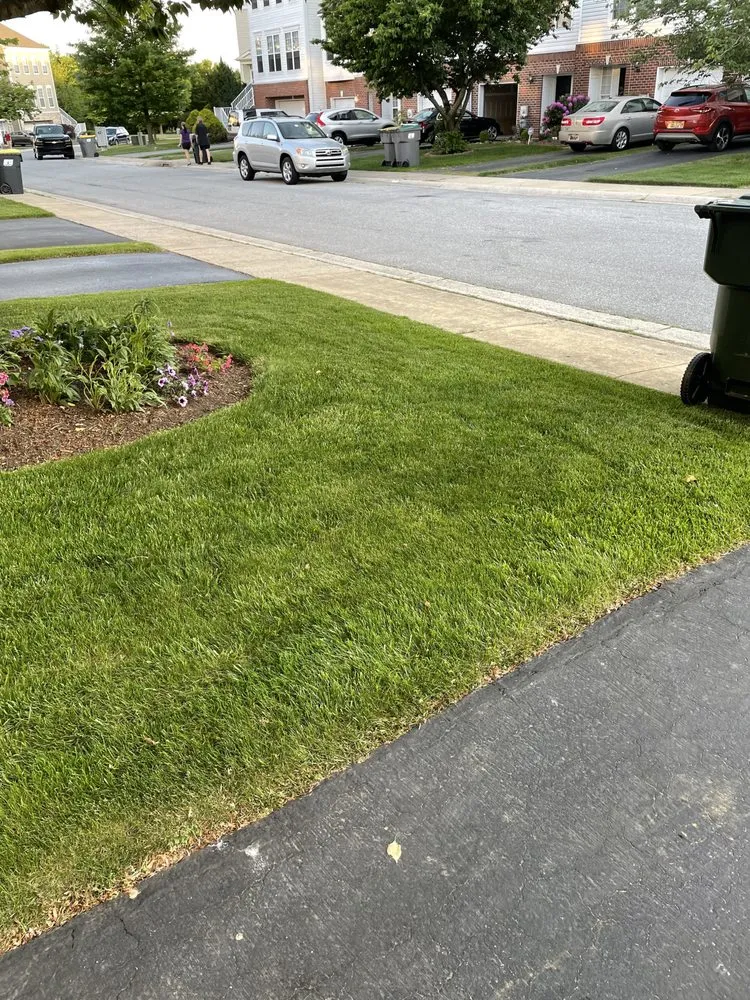 Trusted yard cleanup service in Newport, DE by TruGreen Lawn Care