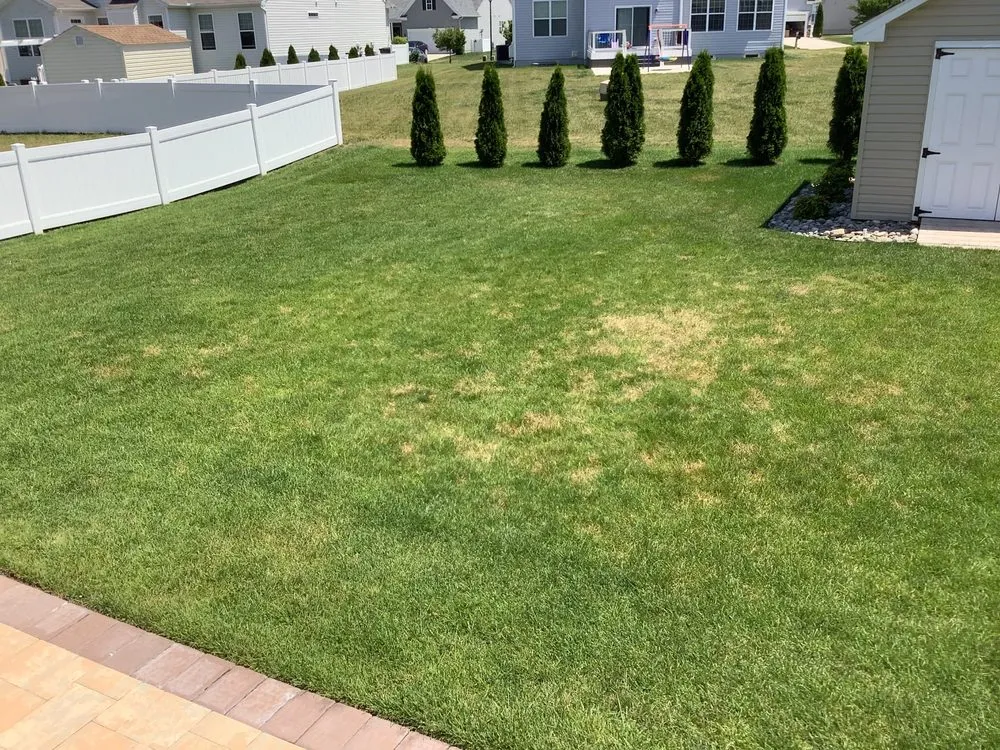 Expert residential landscaping in Newport, DE - TruGreen Lawn Care