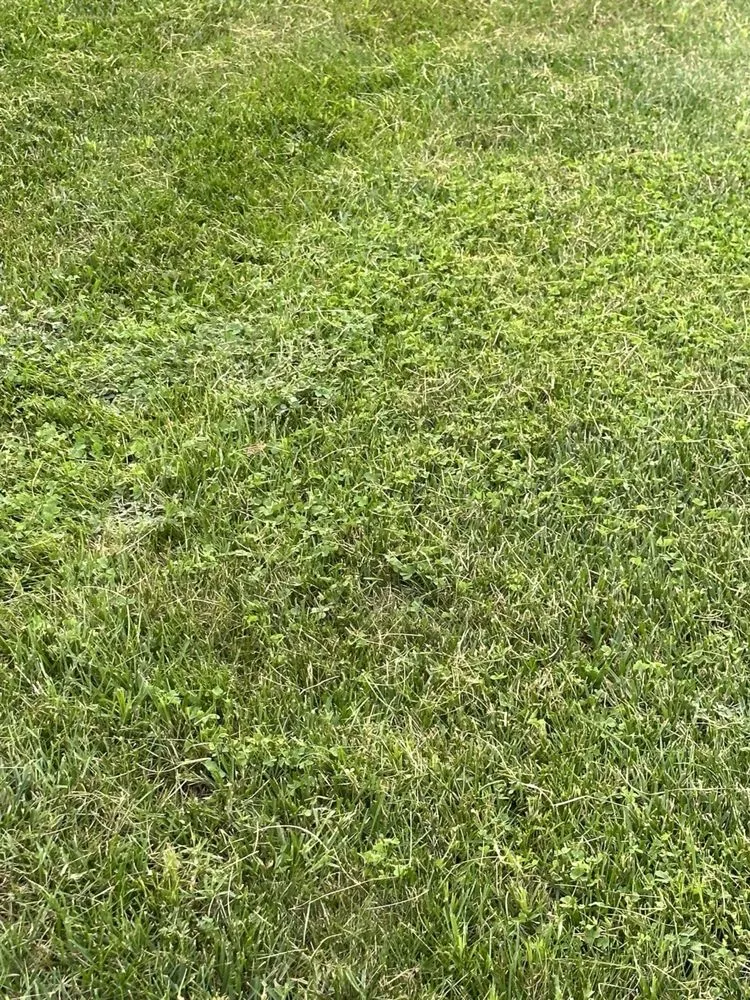 Reliable landscape installation experts serving Newport, DE - TruGreen Lawn Care