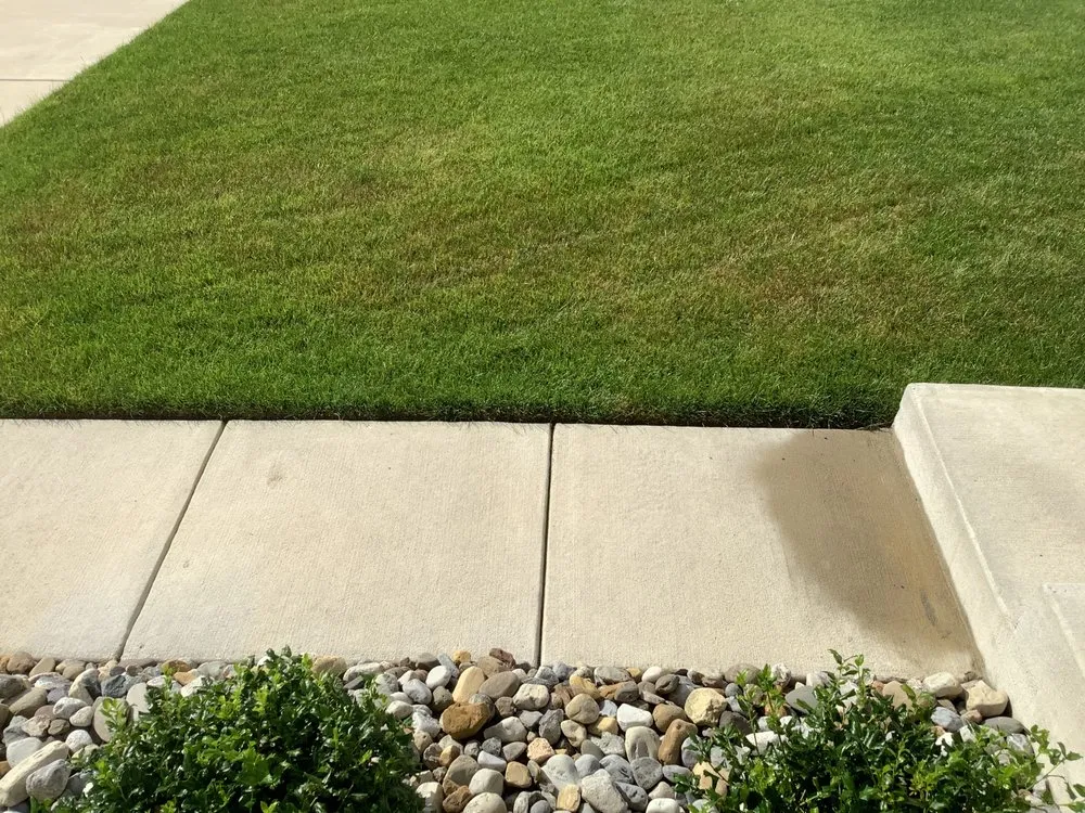 Affordable lawn care service in Newport, DE - TruGreen Lawn Care