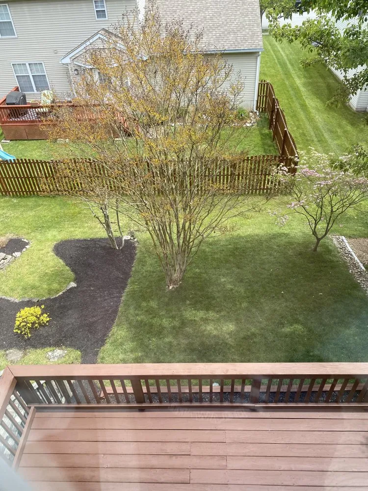 Top-rated landscape installation for beautiful yards across Newport, DE - TruGreen Lawn Care