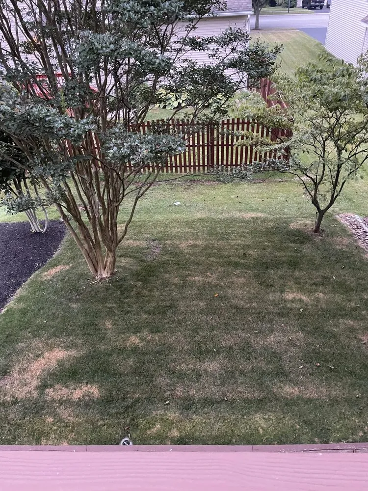 Expert landscape design near you in Newport, DE by TruGreen Lawn Care
