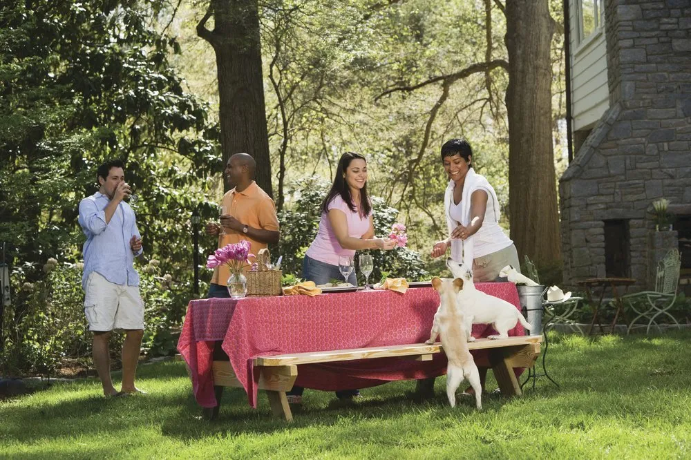 Expert lawn mowing service near you across Newport, DE - TruGreen Lawn Care