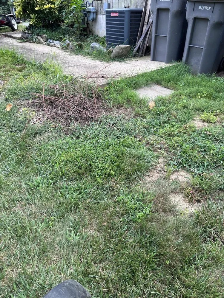 Reliable landscape installation in Newport, DE by TruGreen Lawn Care