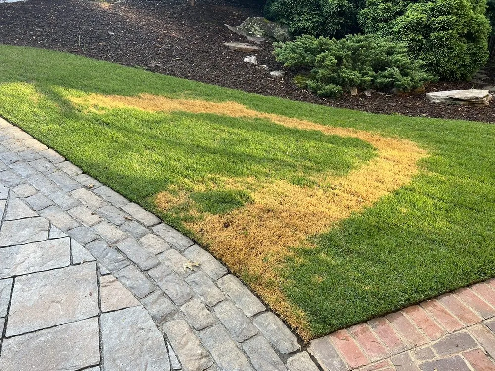 Top-rated lawn care service with custom design in Norcross, GA by TruGreen Lawn Care