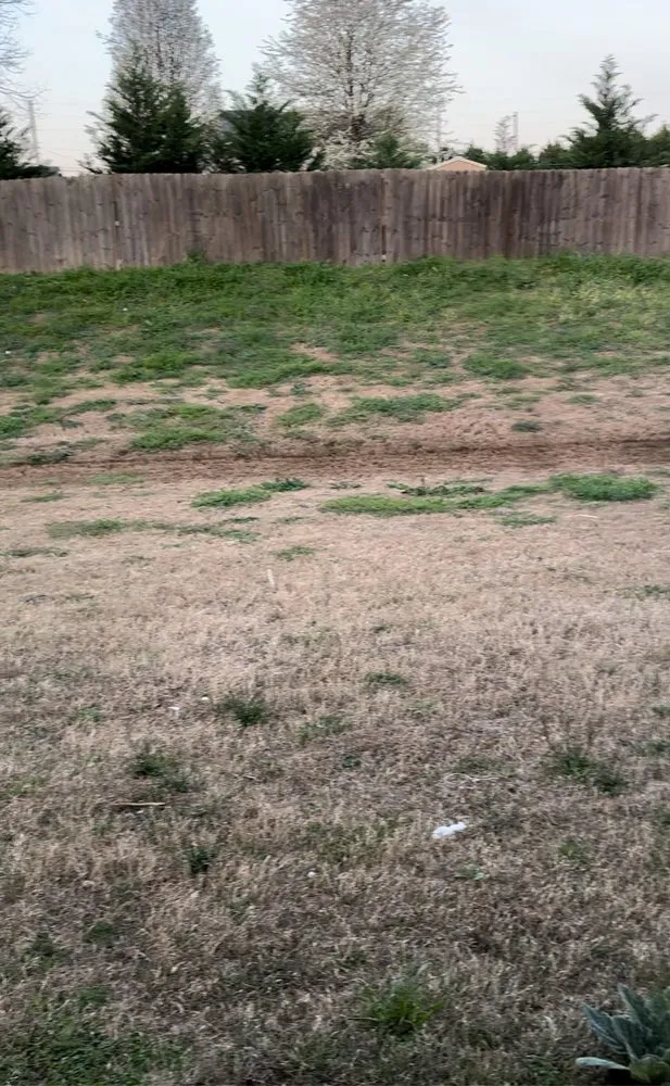 Professional garden landscaping in Norcross, GA - TruGreen Lawn Care