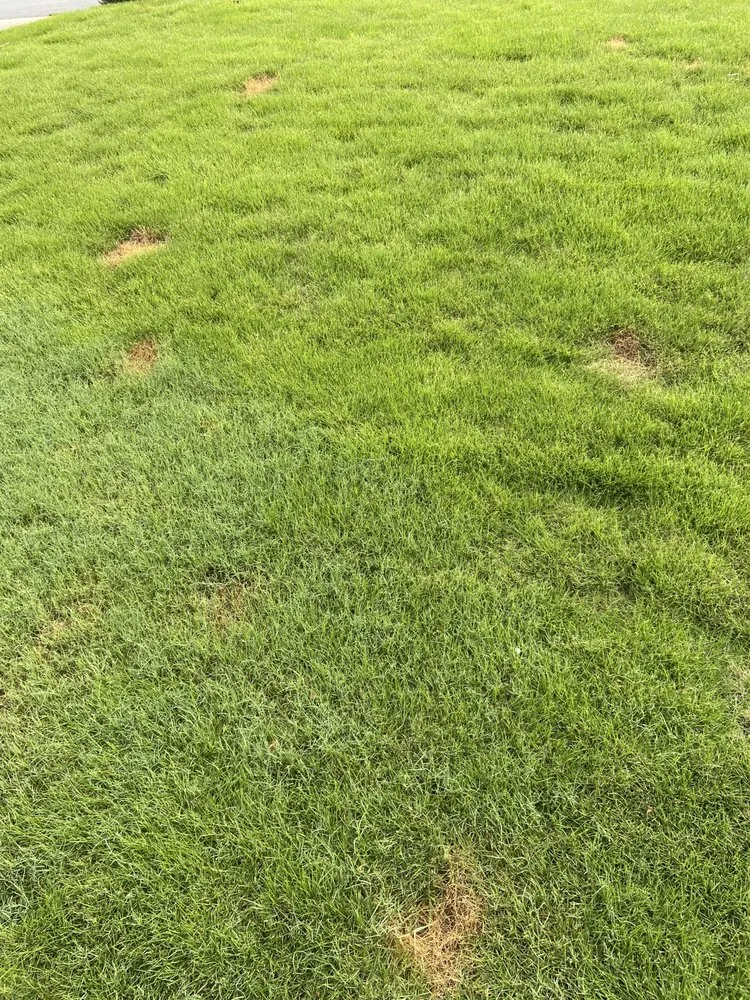 Local yard cleanup service for outdoor upgrades across Norcross, GA - TruGreen Lawn Care