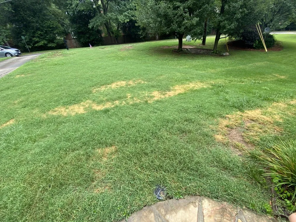 Professional yard maintenance in Norcross, GA by TruGreen Lawn Care